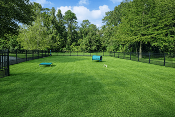 Pet-friendly dog park with agility course
